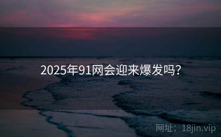 2025年91网会迎来爆发吗？  第1张
