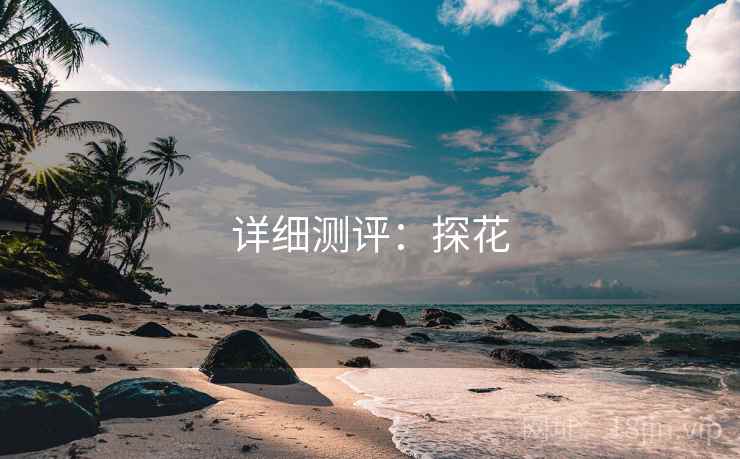 详细测评:探花 第1张 详细测评:探花 第1张