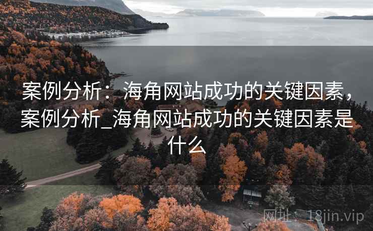 案例分析：海角网站成功的关键因素，案例分析_海角网站成功的关键因素是什么  第2张