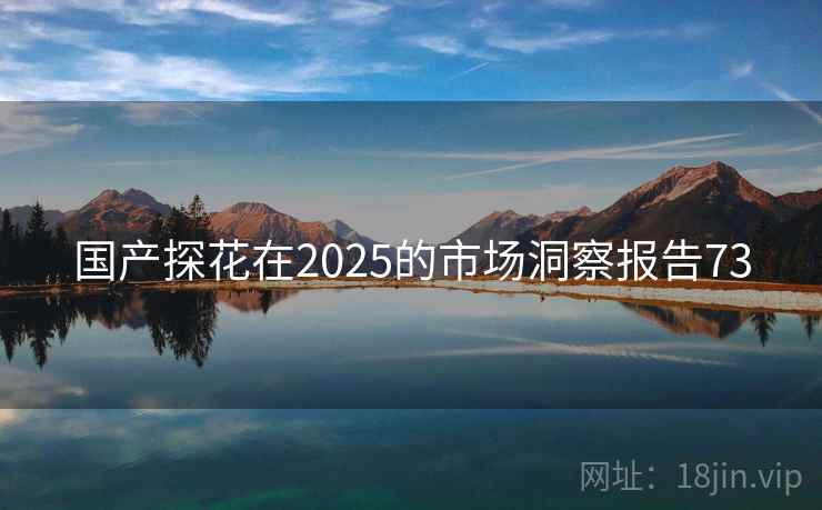 国产探花在2025的市场洞察报告73 第2张 国产探花在2025的市场洞察报告73 第2张