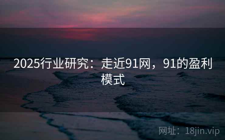 2025行业研究:走近91网,91的盈利模式 第1张 2025行业研究:走近91网,91的盈利模式 第1张