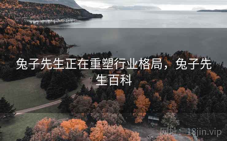 兔子先生正在重塑行业格局，兔子先生百科  第1张