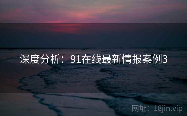 深度分析：91在线最新情报案例3  第2张