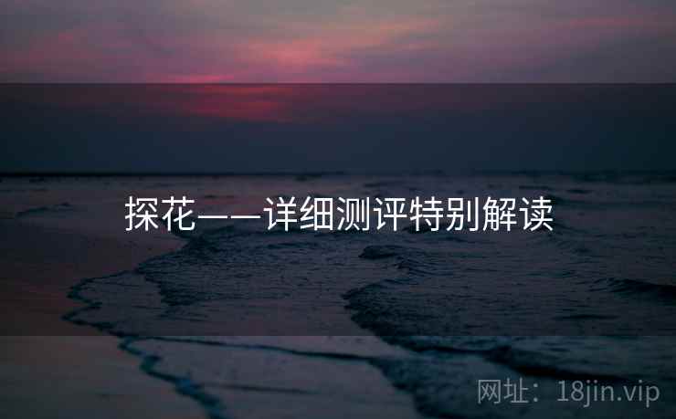探花——详细测评特别解读  第1张